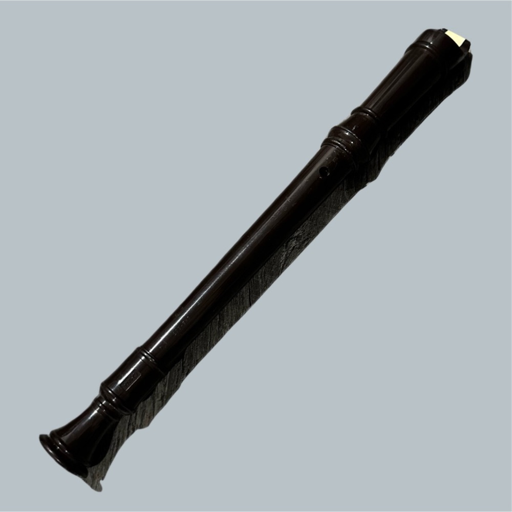 Recorder Instrument Flute Beginners brown cream kids all ages school hobby music